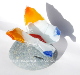 vlinder in wit, oranje en blauw op ijsland steen