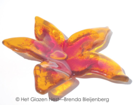 Oranje glas bloem met lange bladeren