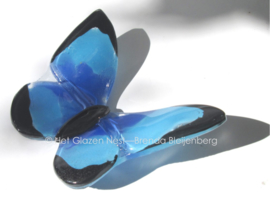 blauw vlindertje met donkere randjes