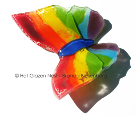 Regenboog vlinder met blauw lijfje