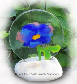 Blauwe bloem op Rijnkiezel