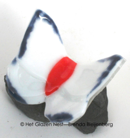 Witte vlinder met oranje lijfje