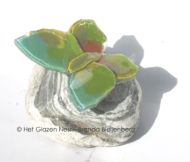 Kleine groen en oker vlinder op steentje