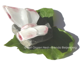 Kleine witte vlinder met roze randen