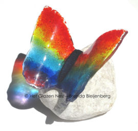 Regenboog vlinder in transparant glas
