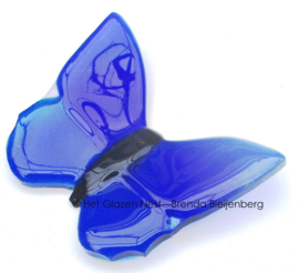 Blauwe vlinder in doorzichtig glas
