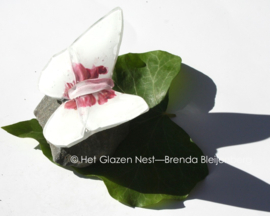 Witte glasvlinder met roze accenten