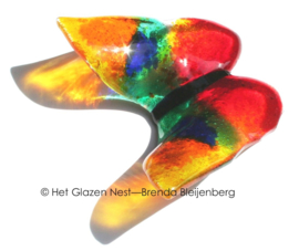 Bijzondere vlinder in glas