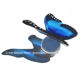 Bijzondere grote blauwe vlinder op bol