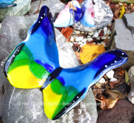 Grote glas vlinder in blauw, geel en groen