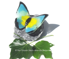 vlinder op steen in geel, blauw en groen