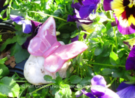 Kleine roze vlinder met witte accenten