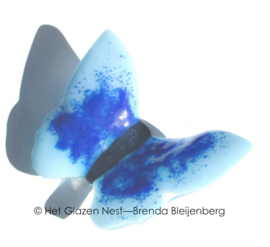 Aqua vlinder met blauwe accenten