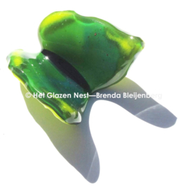 Groen vlindertje met gele accenten