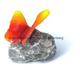 Oranje vlinder op grijze basalt