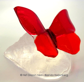 Tomaatrode vlinder op casting glas