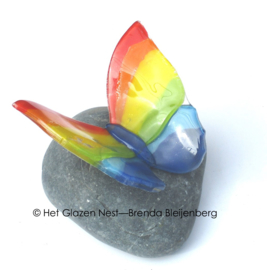 Regenboog vlinder op Iceland steen