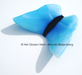 Vlinder in aqua blauwe kleuren