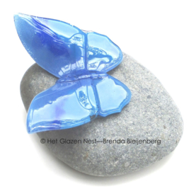 Blauwe glas vlinder op Iceland stone