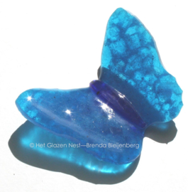 Bijzondere aqua blauwe vlinder