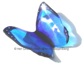Blauwe glas vlinder voor grafsteen