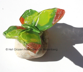 Glazen vlinder in grasgroen met oker