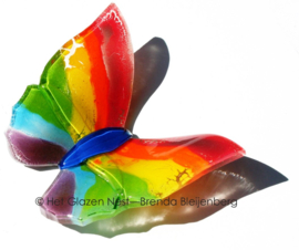 Regenboog vlinder met blauw lijfje