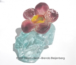 Bloem in prachtig opaal glas op een brok helder glas