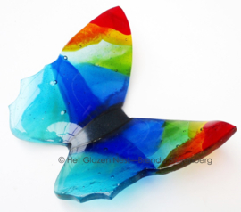 Aqua blauwe vlinder met kleurige vleugels