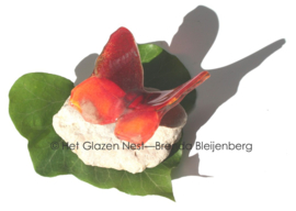 Rode glazen vlinder met spitse vleugels