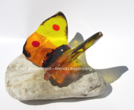 Speels vlindertje in geel en oranje