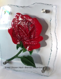 roos op blank glas met gebrokkelde rand