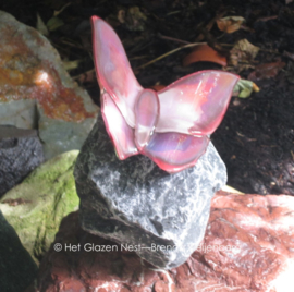 vlinder in Lila en oud roze op basalt