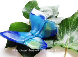 vlinder in blauw en groene kleuren