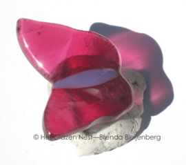 Kleine roze glazen vlinder