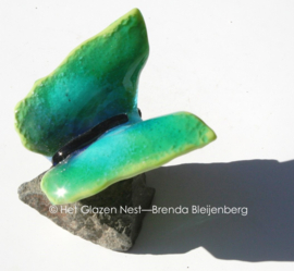Glazen vlinder in zeegroen