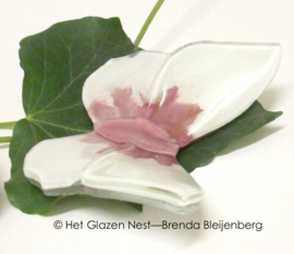 speels witte en roze vlinder