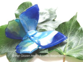 vlinder in blauw en groene kleuren