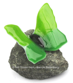 Groene vlinder op basalt steen