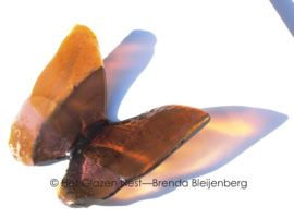 Vlinder in oker en oud roze