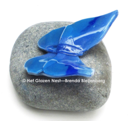 Blauwe glas vlinder op Iceland stone