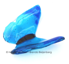 Helder blauwe vlinder in doorzichtig glas