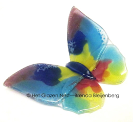 Glazen vlinder in bijzondere kleuren