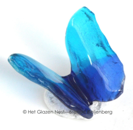 Glasvlinder in aqua en blauwe kleuren