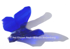 Kobalt blauwe vlinder in doorzichtig glas