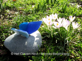 Blauwe vlinder op steen uit IJsland