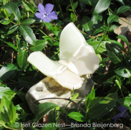 Glazen vlinder in crème kleuren