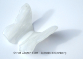 Glazen wolken vlinder