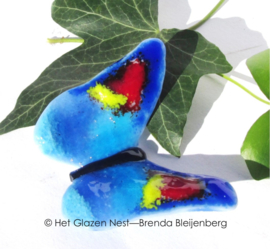 blauw vlindertje met geel en rood accent