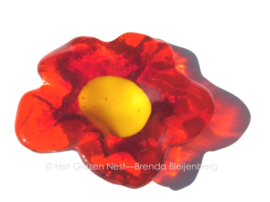 oranje bloemetje met geel hartje